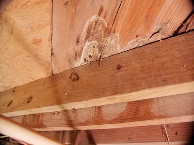 wood rot on crawl space beam