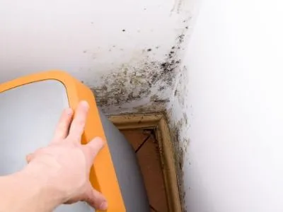 mold on corner of walls